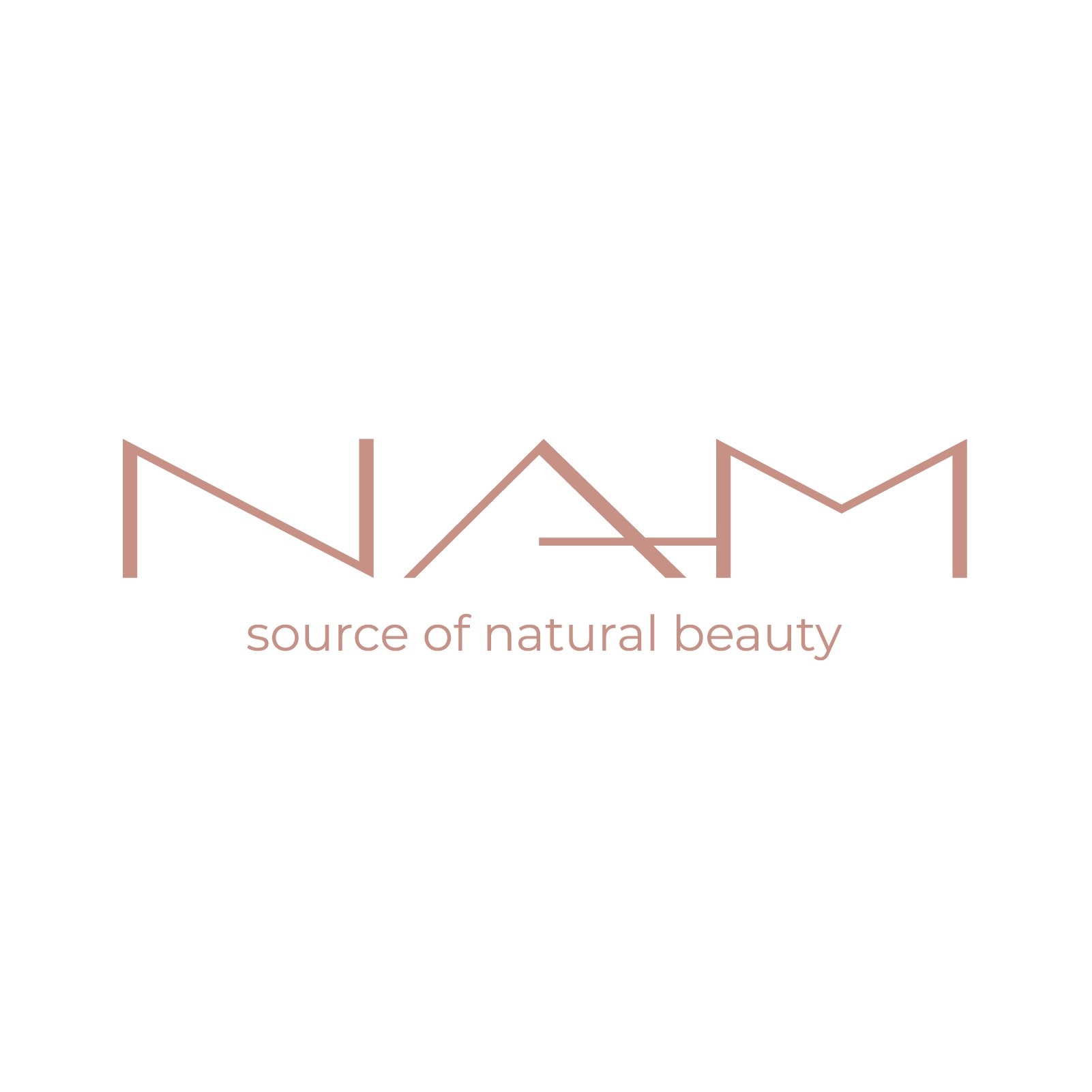 NAM-logo_1200x80.jpg