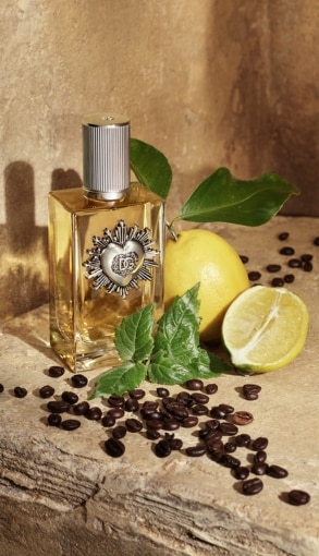DG_FF_EC_PRODUCT_W_INGR_2_DEVOTION_EDP_MALE_100ML_8054754401059_JPG_293x510.jpg