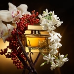 30 ML Dolce & Gabbana The One The One Eau de Parfum Intense  2 of 6 The One Eau de Parfum Intense