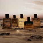 60 ML BURBERRY Hero Burberry Hero Elixir  6 of 7 Burberry Hero Elixir
