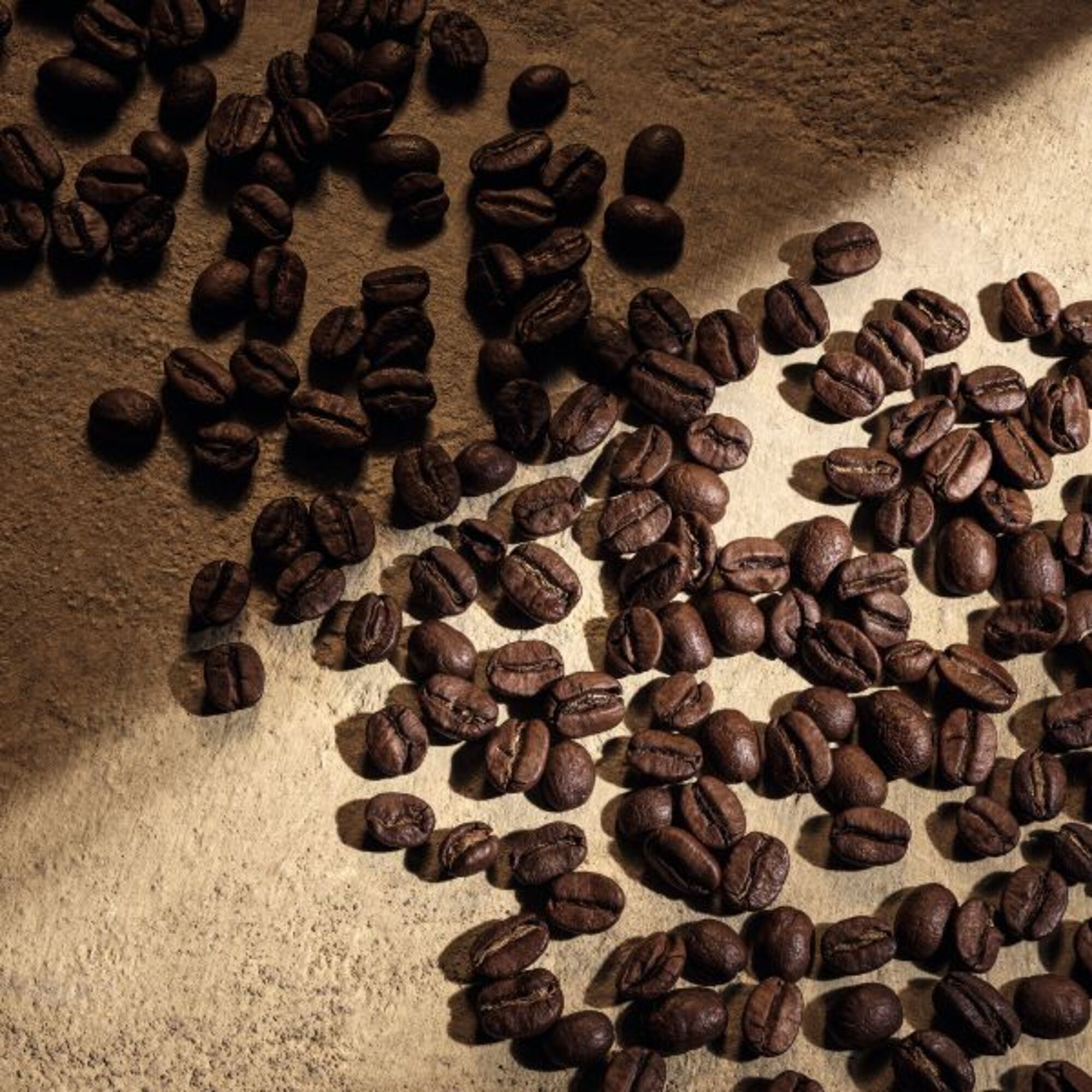 Devotion For Men Parfum