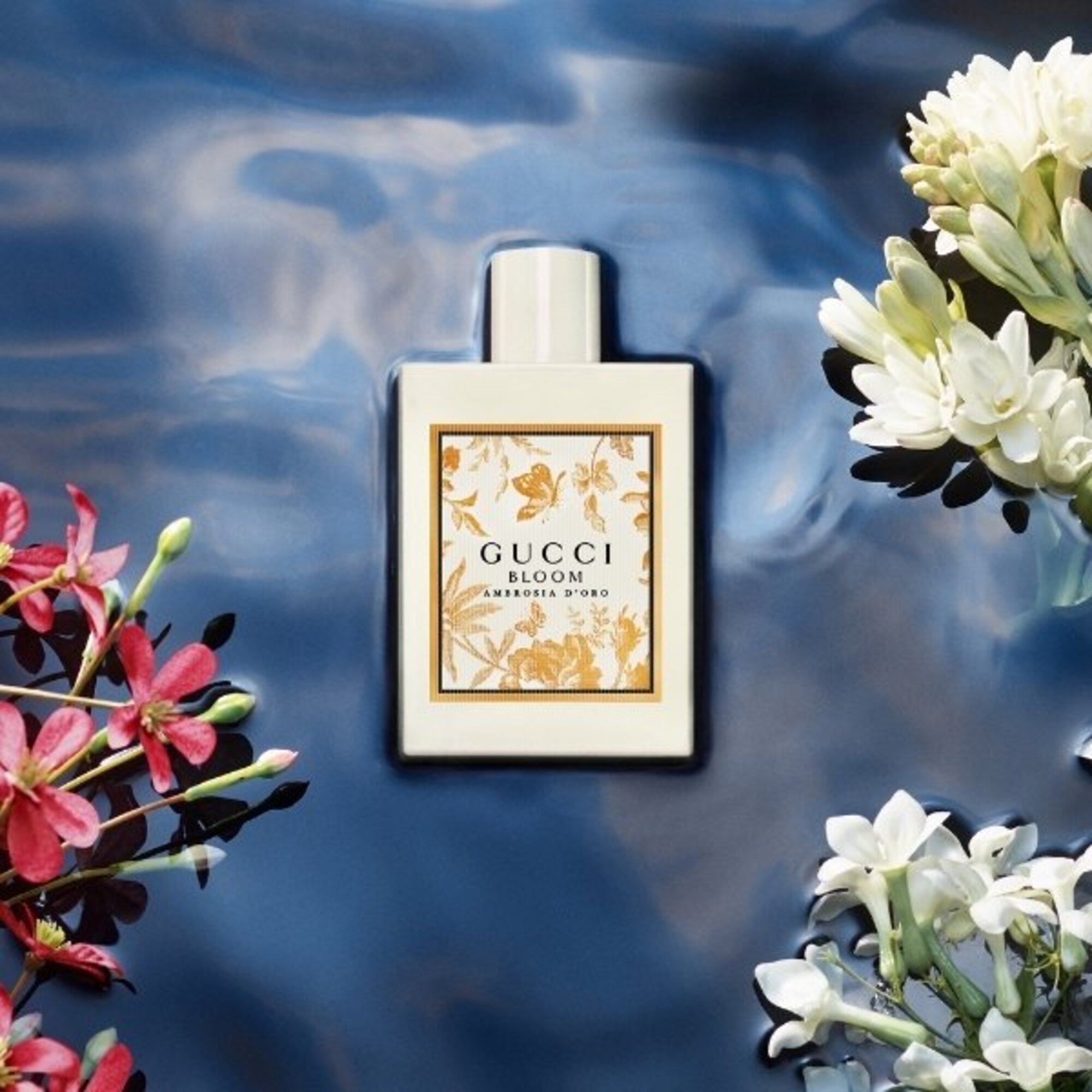 100 ML GUCCI Bloom Gucci Bloom Ambrosia d'Oro Eau de Parfum  1 of 5 