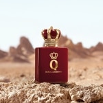50 ML Dolce & Gabbana Q by Dolce&Gabbana Elixir Q by Dolce&Gabbana Elixir  8 of 8 Q by Dolce&Gabbana Elixir