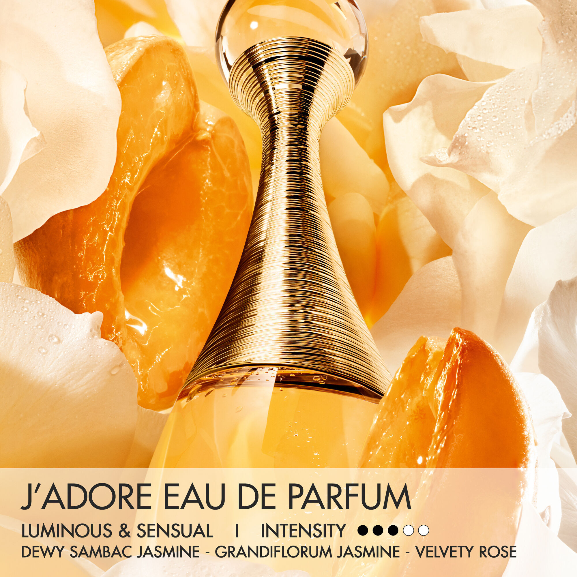 100 ML Dior J'adore J'adore Eau de Parfum  1 of 5 
