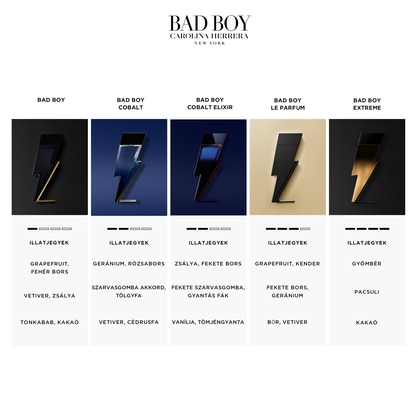 Bad Boy Cobalt Eau de Parfum Elixir