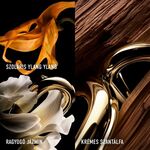 30 ML RABANNE Million Gold Million Gold For Her Parfum 2 of 7 Million Gold For Her Parfum