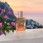 50 ML Dolce & Gabbana Devotion Devotion Eau de Parfum Intense 2 of 4 Devotion Eau de Parfum Intense