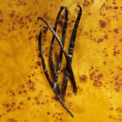 Gucci Guilty Elixir Pour Femme Eau de Parfum