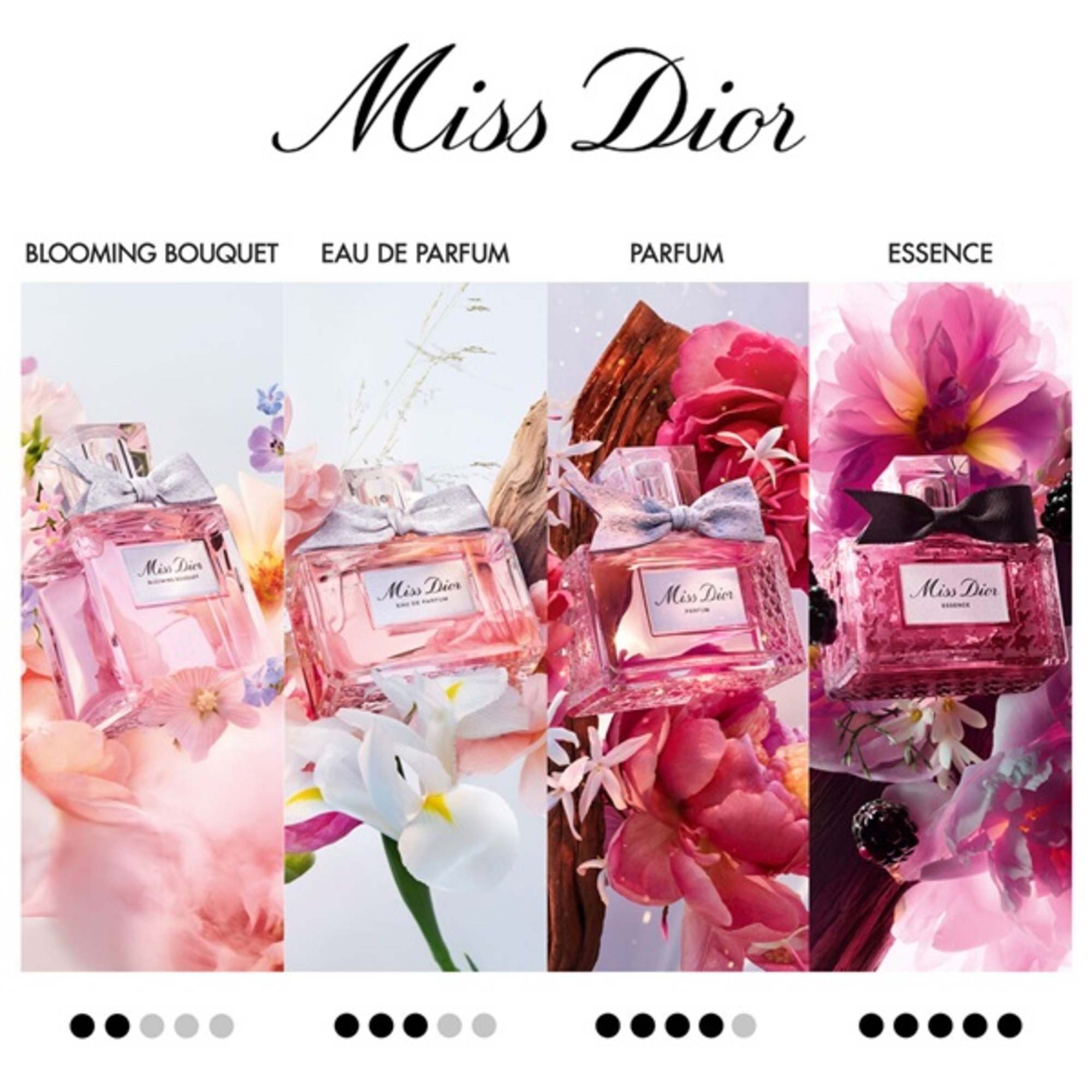 100 ML Dior Miss Dior MISS DIOR Eau de Parfum  5 of 5 MISS DIOR Eau de Parfum