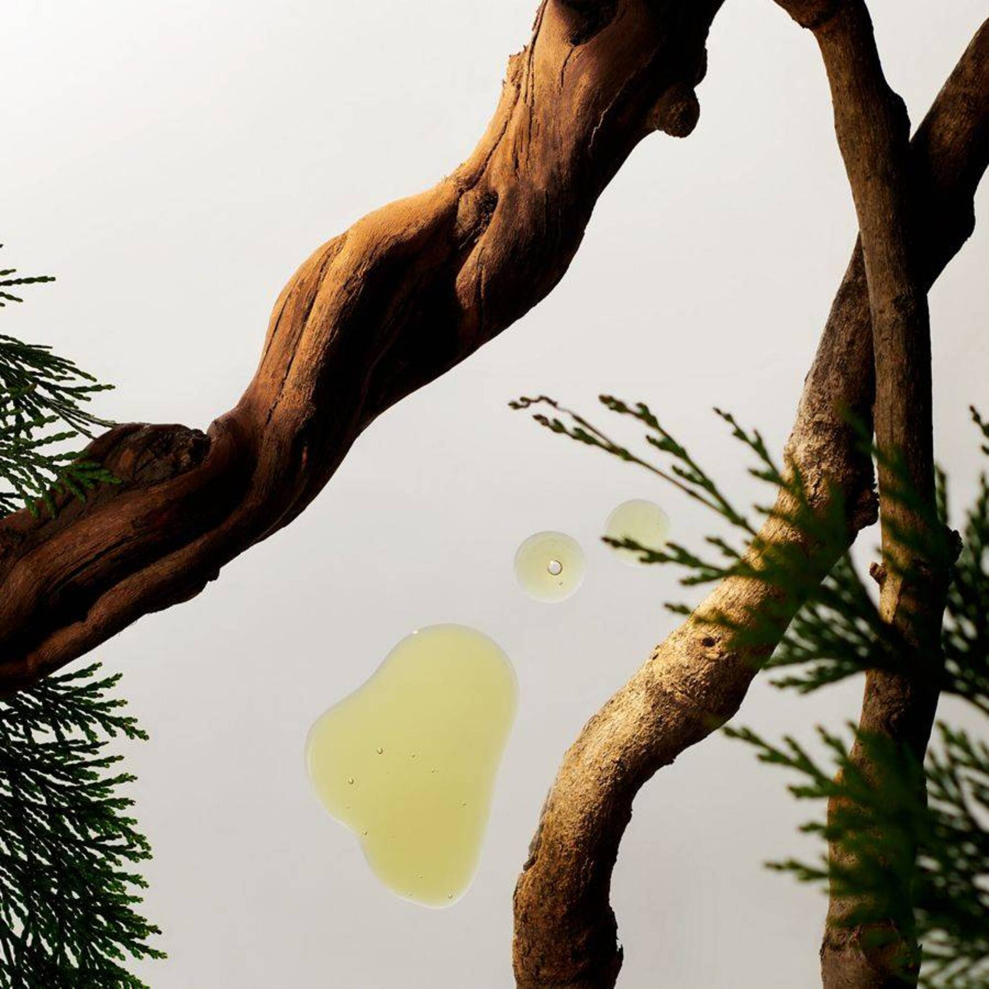 Homme Autóillatosító