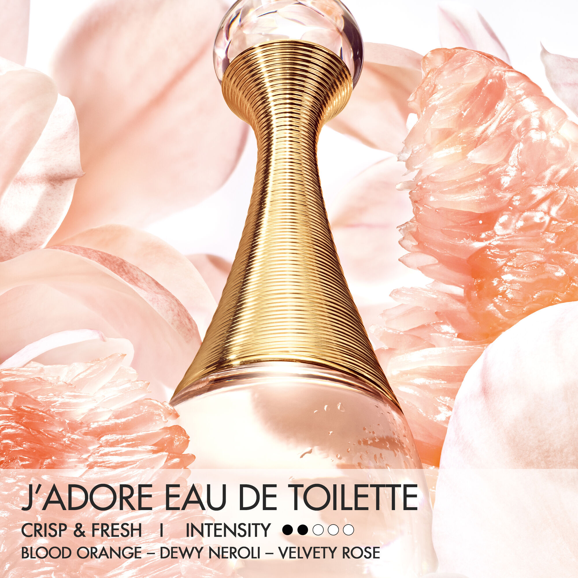 100 ML Dior J'adore J'adore Eau de Toilette  1 of 3 