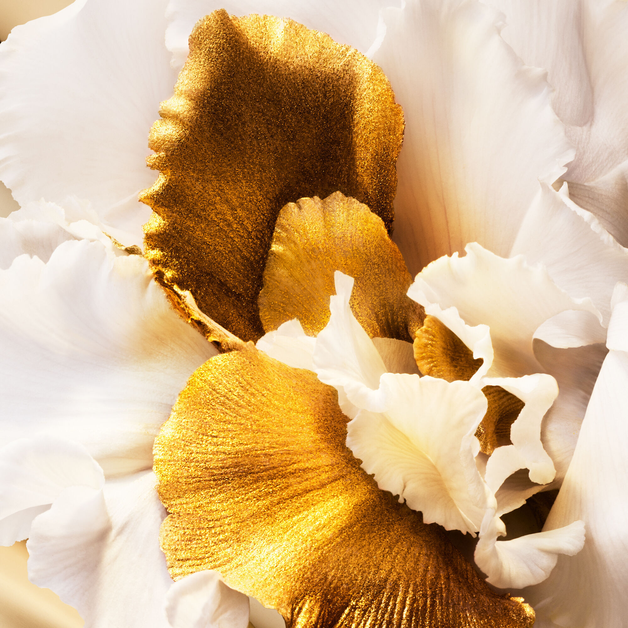 J'adore Eau de Parfum Roller Pearl