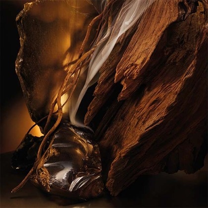 Boss Bottled Elixir Eau de Parfum