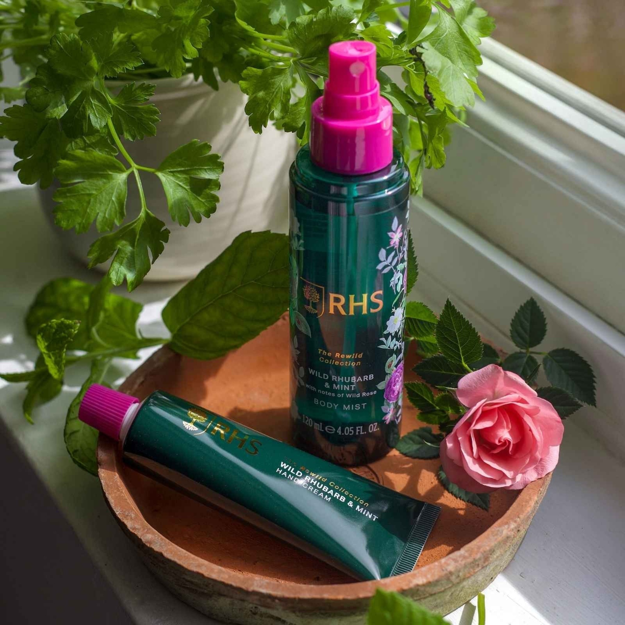 50 ML SOMERSET RHS Kézkrém The Rewild Collection 2 of 4 Kézkrém The Rewild Collection
