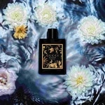 50 ML GUCCI BLOOM Gucci Bloom Parfum 2 of 3 Gucci Bloom Parfum