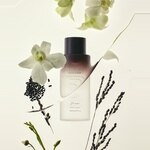 150 ML HARUHARU WONDER Black Rice Toner Free Wonder Black Rice Hyaluronic 3 of 3 Toner Free Wonder Black Rice Hyaluronic