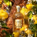 75 ML GUERLAIN Aqua Allegoria Aqua Allegoria Forte Oud Yuzu Eau de Parfum 3 of 7 Aqua Allegoria Forte Oud Yuzu Eau de Parfum