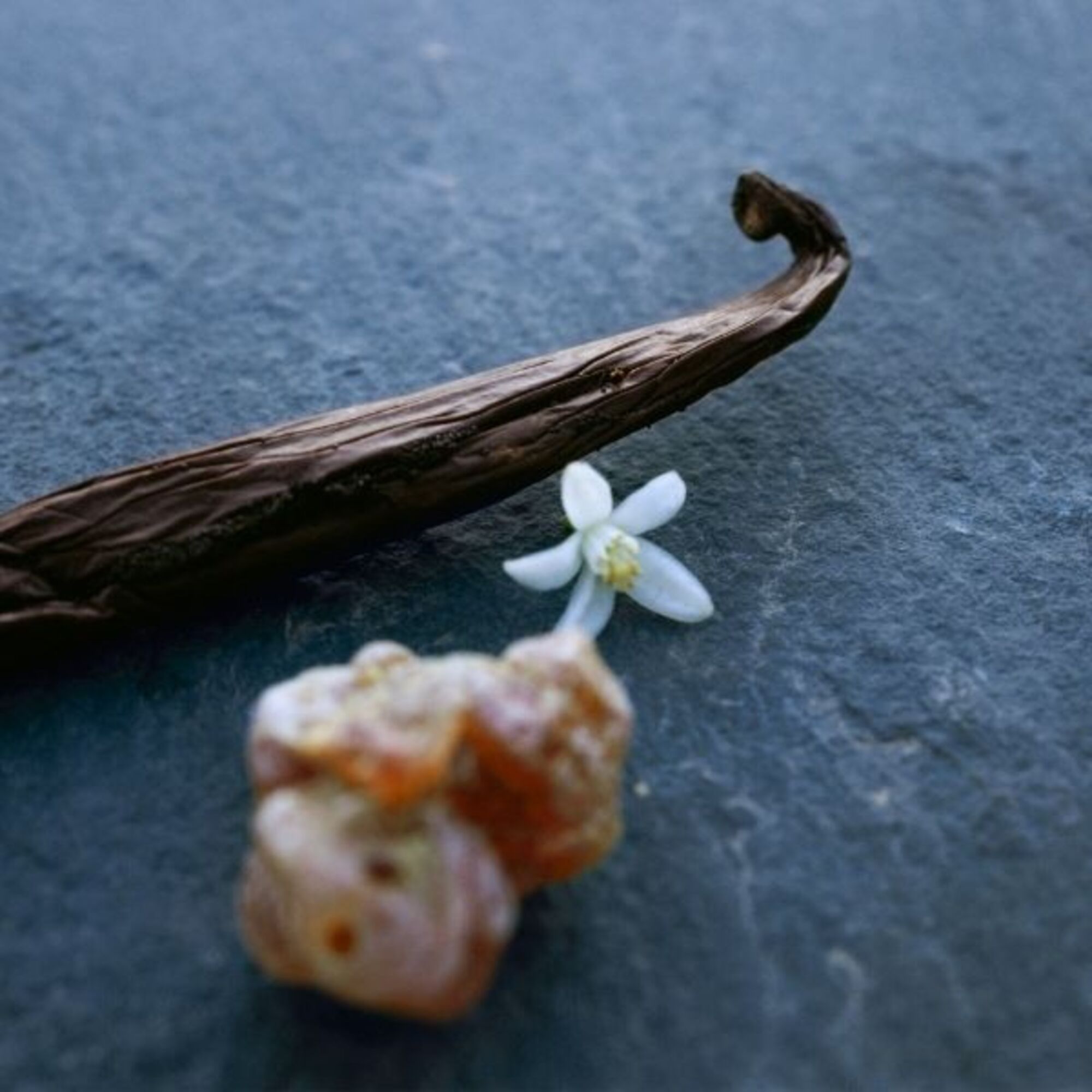 Nomade Nuit d'Égypte Eau de Parfum