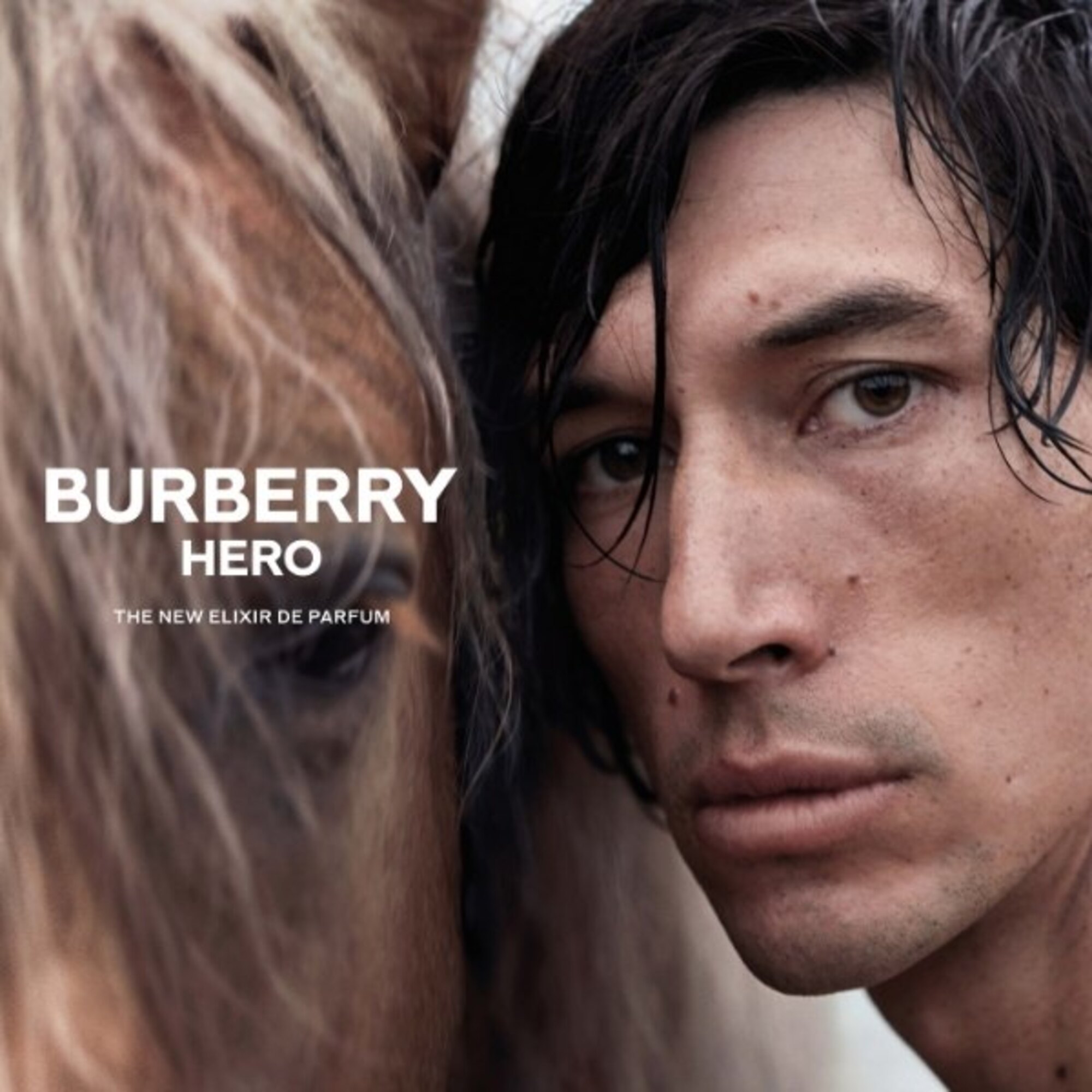 Burberry Hero Elixir