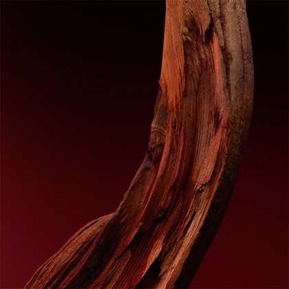 The Scent Elixir Him Eau de Parfum