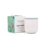 Gyertya Ceramic Sea Kelp Cedar