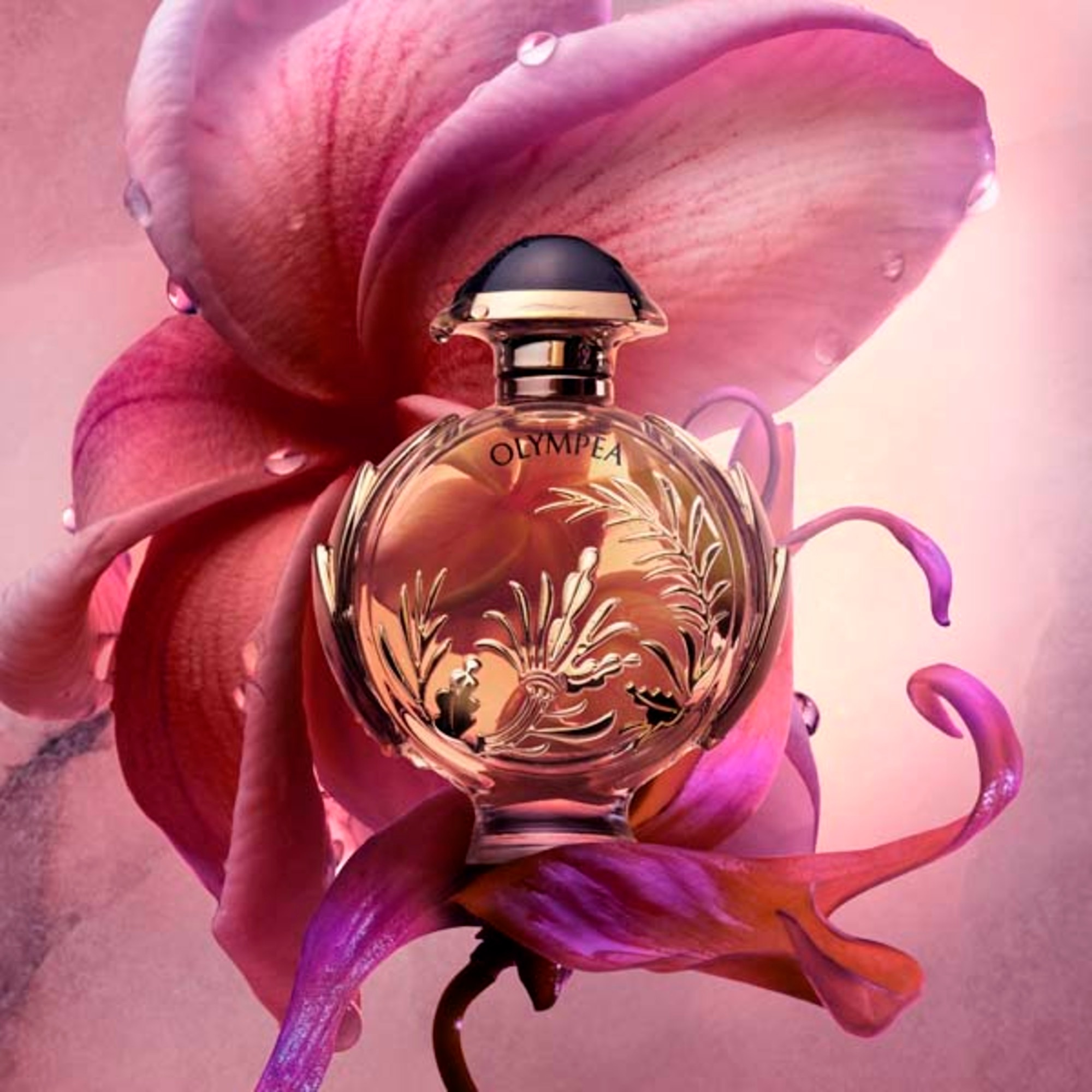 50 ML RABANNE OLYMPEA Olympea Solar Eau de Parfum Intense 4 of 5 Olympea Solar Eau de Parfum Intense