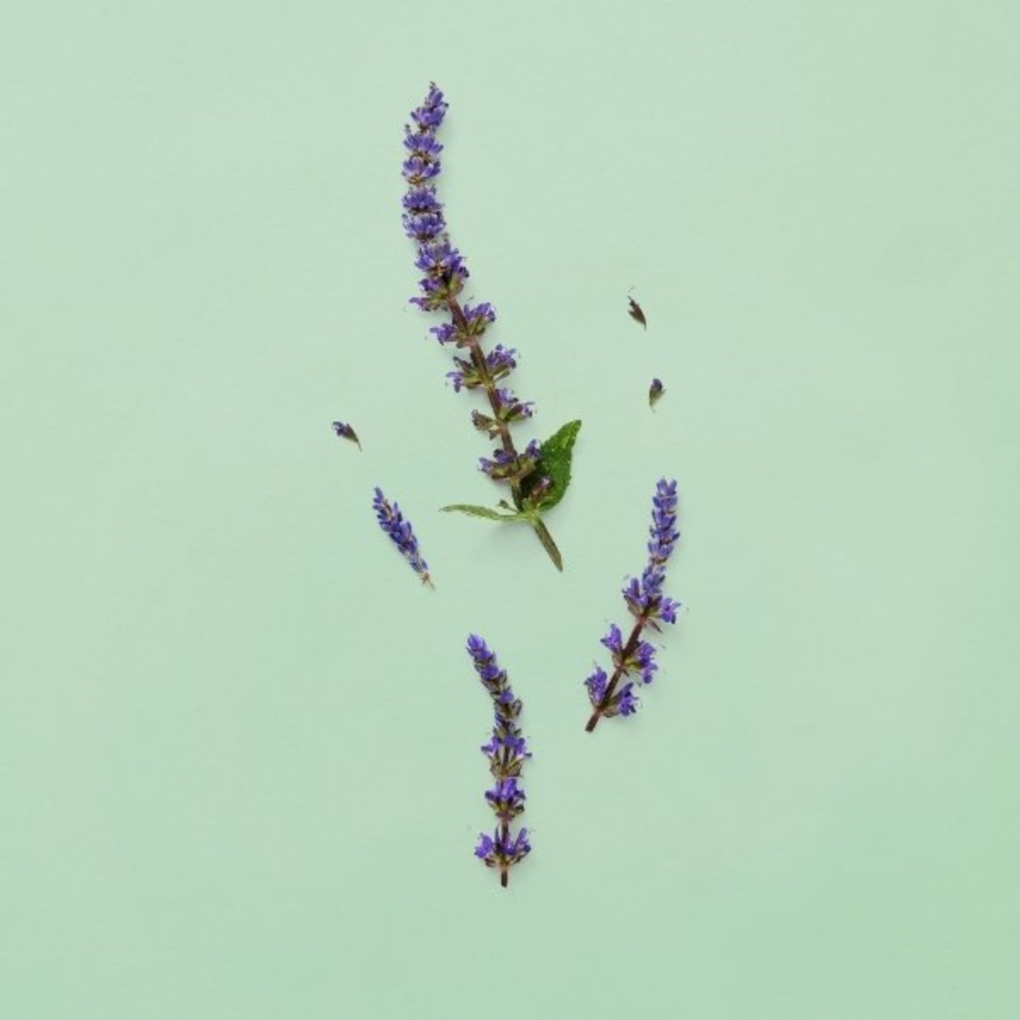 Guilty Pour Homme Parfum Eau de Parfum