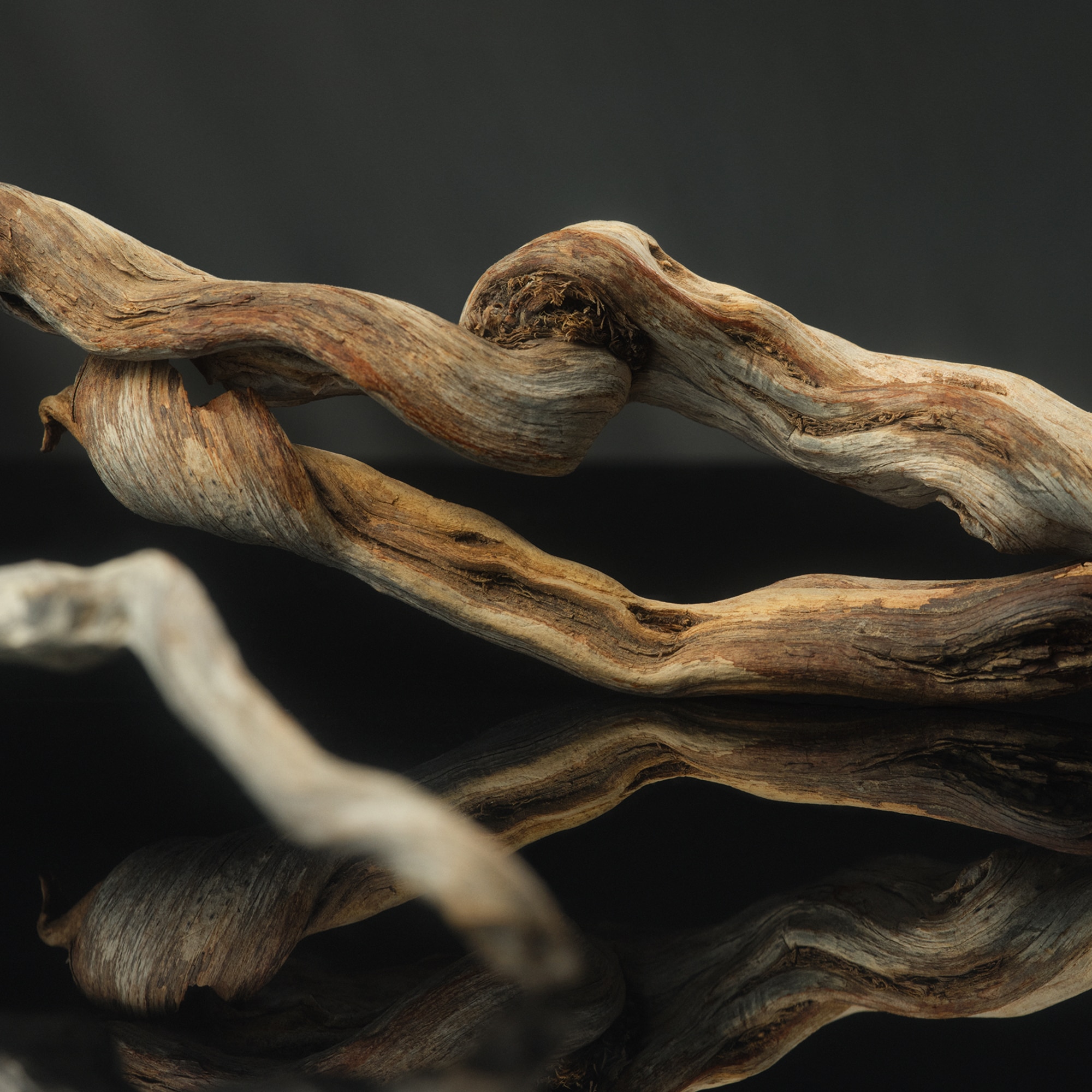 Fefé Illatpermet kutyáknak