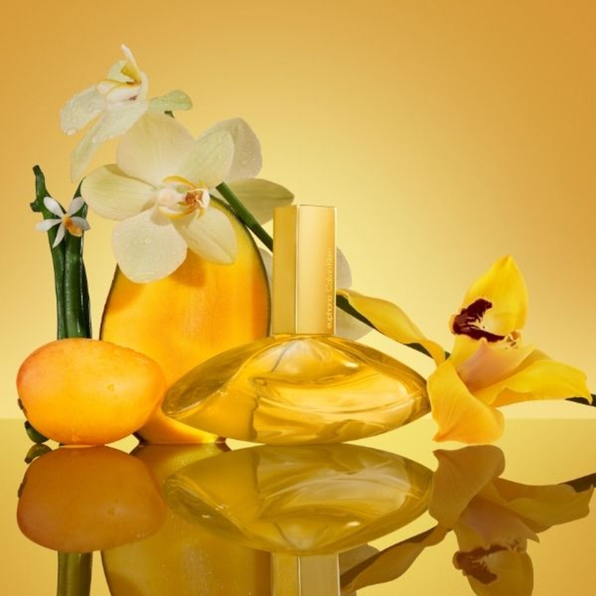 Euphoria Solar Elixir Parfum Intense