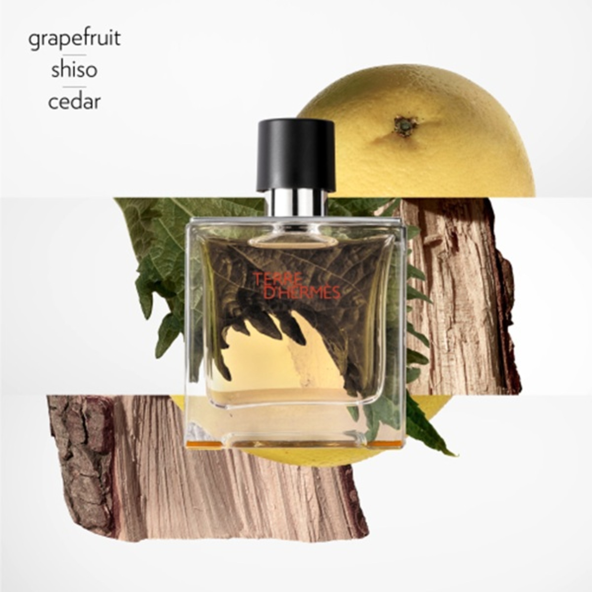 Terre d'Hermès Pure Parfum