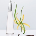 30 ML ISSEY MIYAKE L'Eau d'Issey L'Eau d'Issey Eau de Parfum Intense 5 of 5 L'Eau d'Issey Eau de Parfum Intense