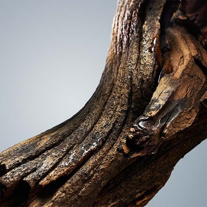 Boss Bottled Dezodor Stick