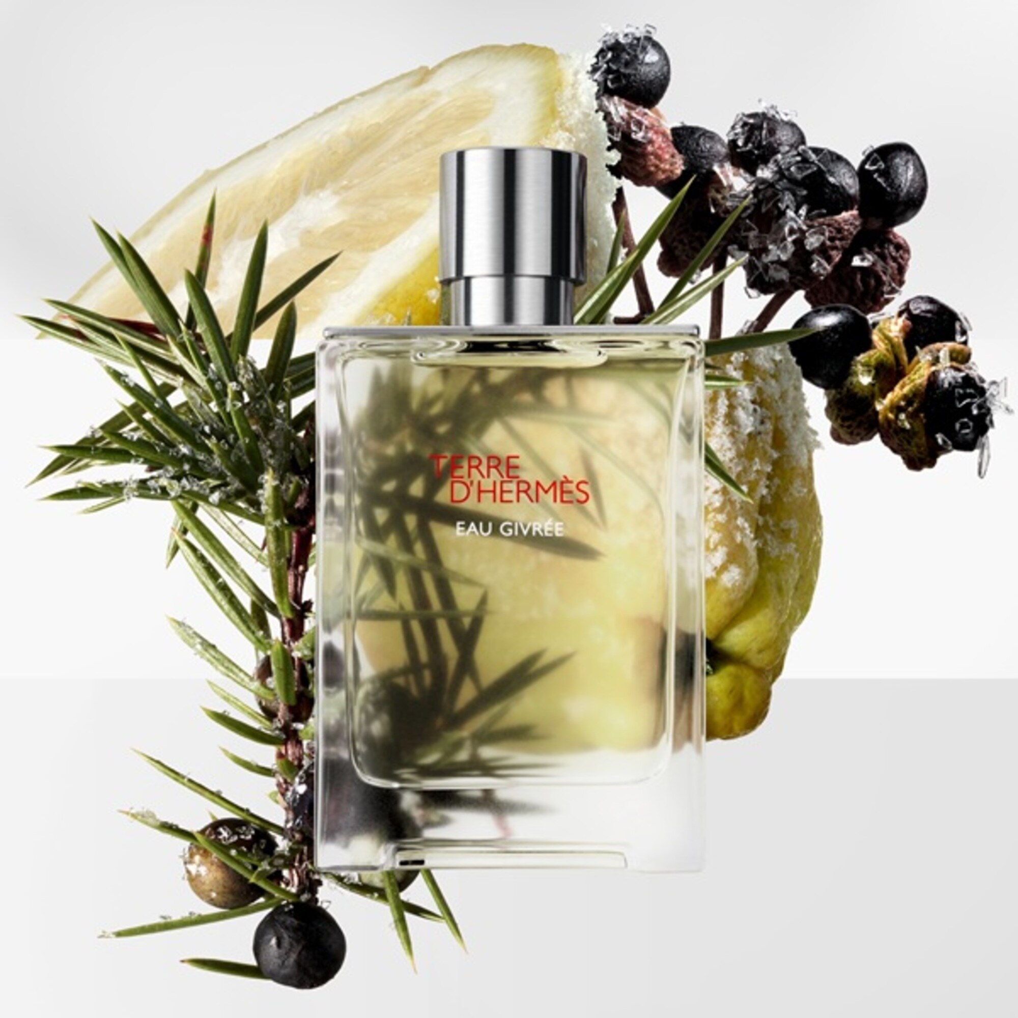 Terre d’Hermés Eau Givrée