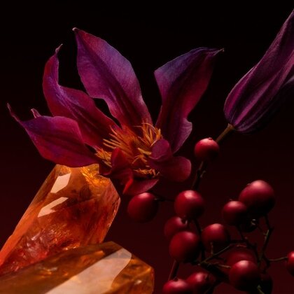 The Scent Elixir Her Eau de Parfum