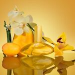 30 ML CALVIN KLEIN Euphoria Collection Euphoria Solar Elixir Parfum Intense  6 of 8 Euphoria Solar Elixir Parfum Intense