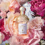 75 ML GUERLAIN AQUA ALLEGORIA Aqua Allegoria Rosa Rossa Eau de Toilette 2 of 3 Aqua Allegoria Rosa Rossa Eau de Toilette