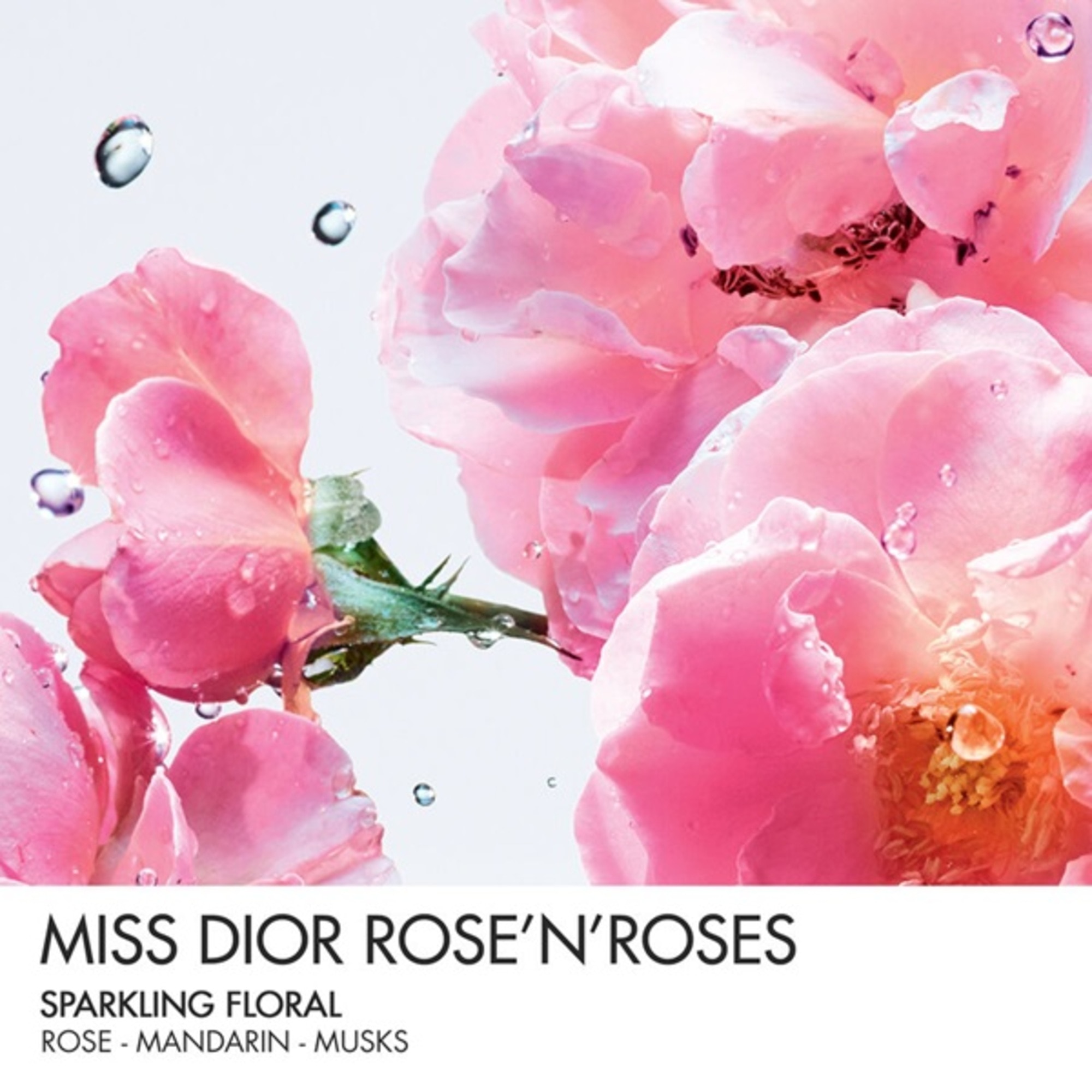 Miss Dior Rose N'Roses Eau de Toilette