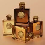 50 ML BURBERRY Goddess Burberry Goddess Amber Vanilla Intense Eau de Parfum 8 of 8 Burberry Goddess Amber Vanilla Intense Eau de Parfum