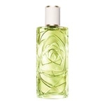100 ML Lancôme Ô de Lancôme Ôff now Eau de Toilette  1 of 8 Ôff now Eau de Toilette