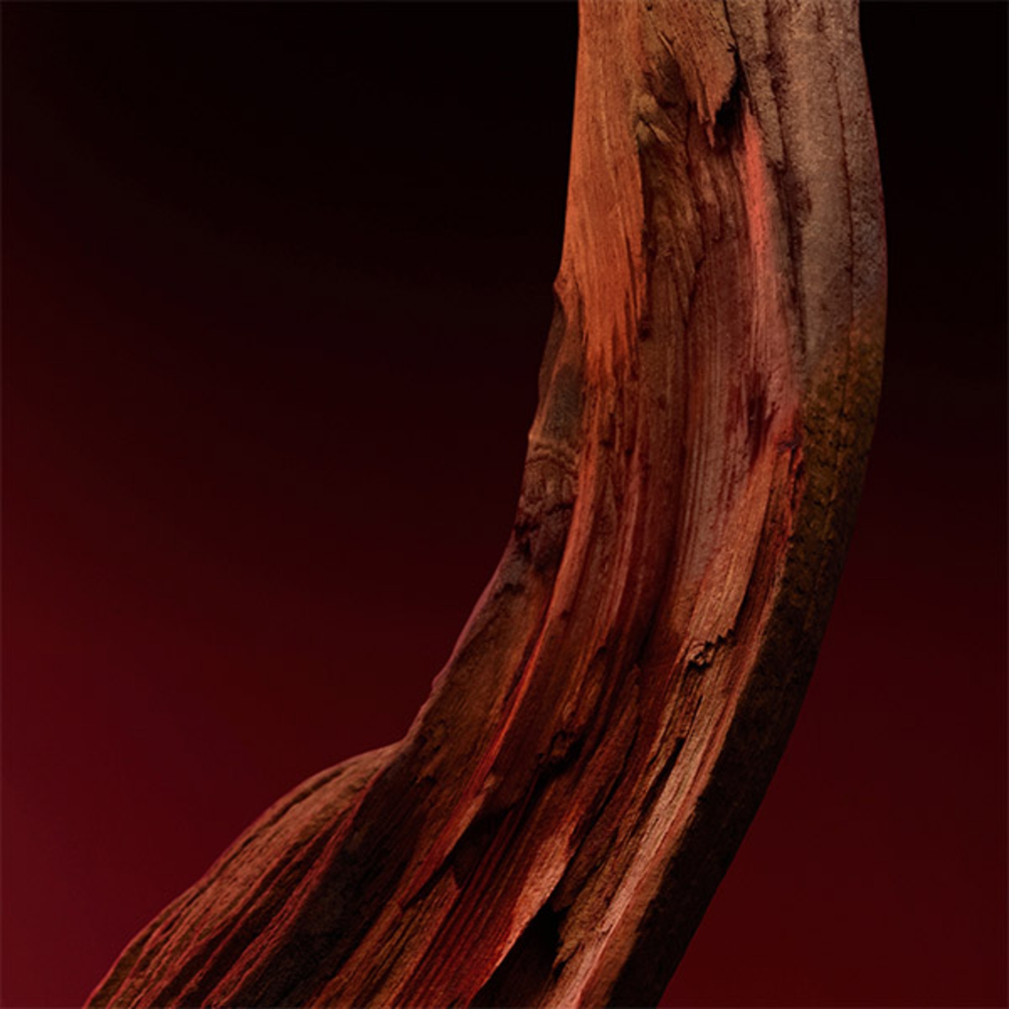 The Scent Elixir Him Eau de Parfum