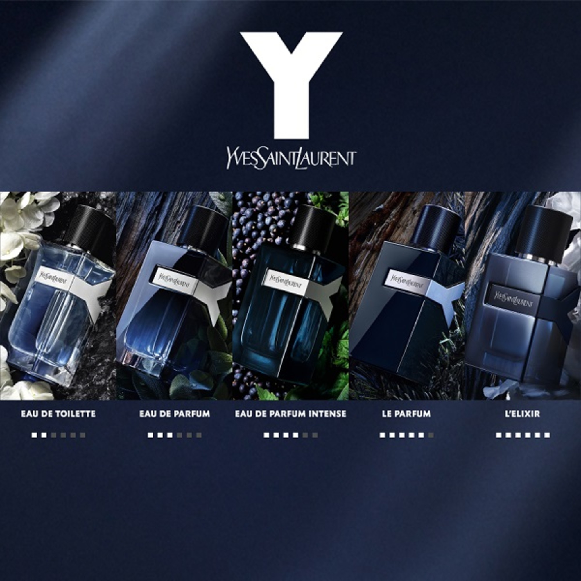 Y Le Parfum