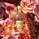 75 ML GUERLAIN Aqua Allegoria Aqua Allegoria Forte Rosa Palissandro Eau de Parfum 3 of 7 Aqua Allegoria Forte Rosa Palissandro Eau de Parfum