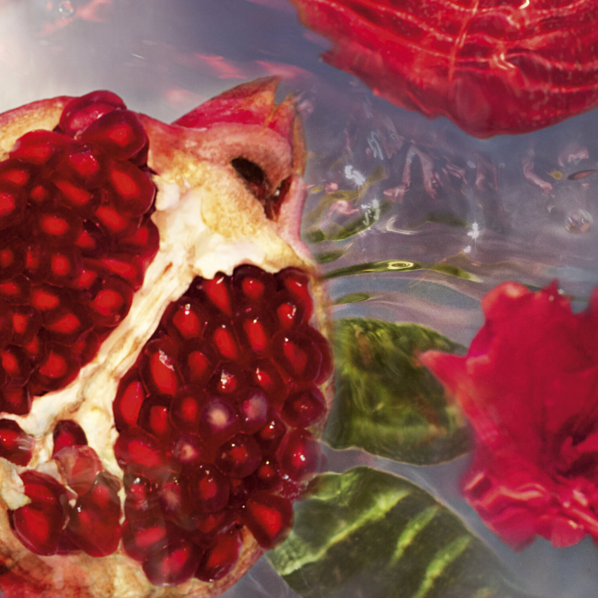 Aqua Allegoria Granada Salvia Eau de Toilette