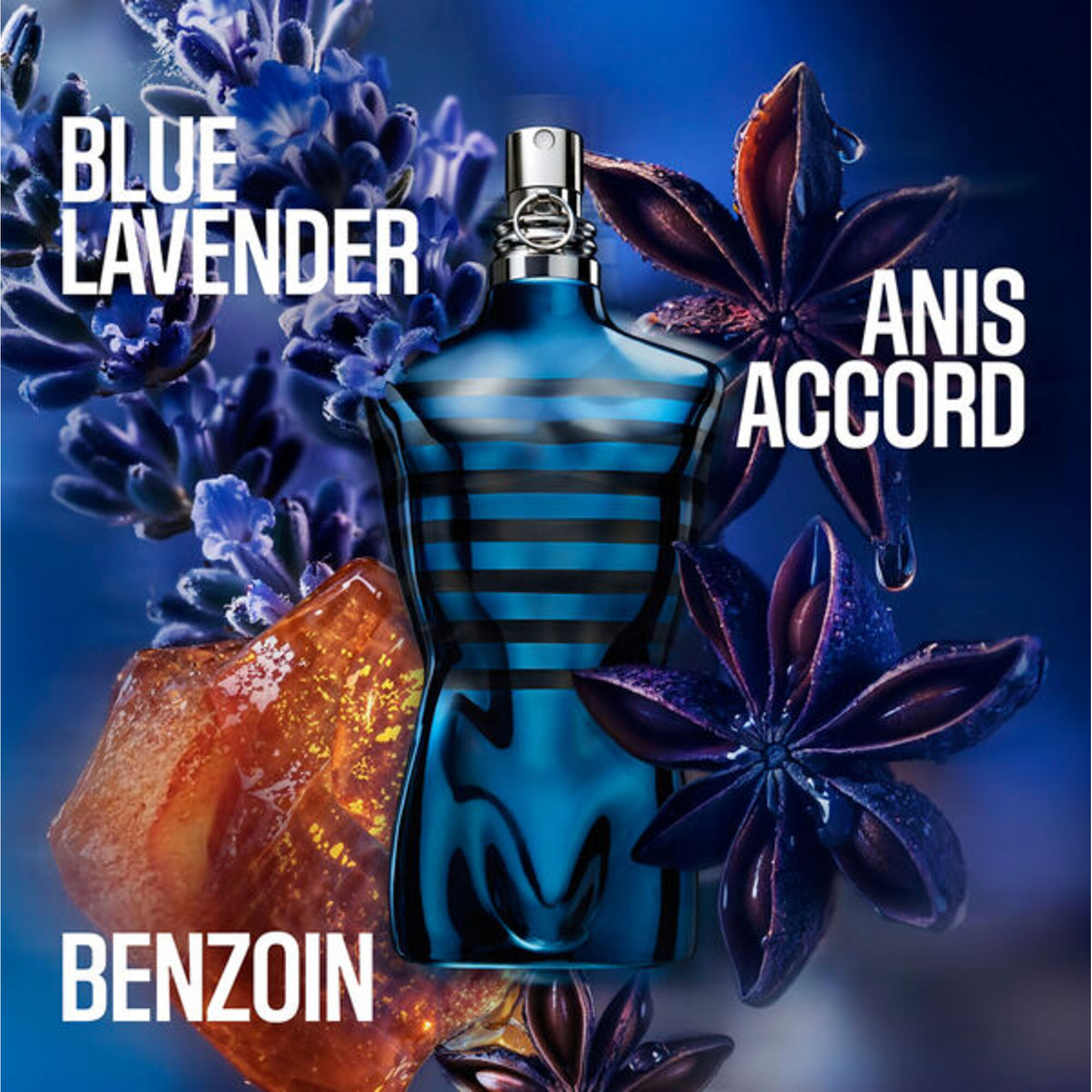 Le Male In Blue Eau de Parfum