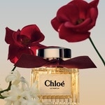 30 ML CHLOE Le Parfum Chloé Le Parfum 5 of 7 Chloé Le Parfum