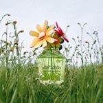 30 ML MARC JACOBS Daisy Daisy Wild Eau So Intense Eau De Parfum  3 of 3 Daisy Wild Eau So Intense Eau De Parfum