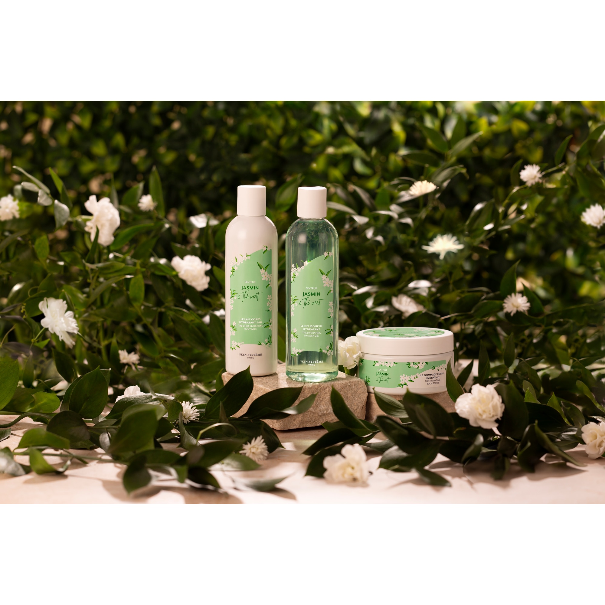 Jasmine Green Tea Testradír