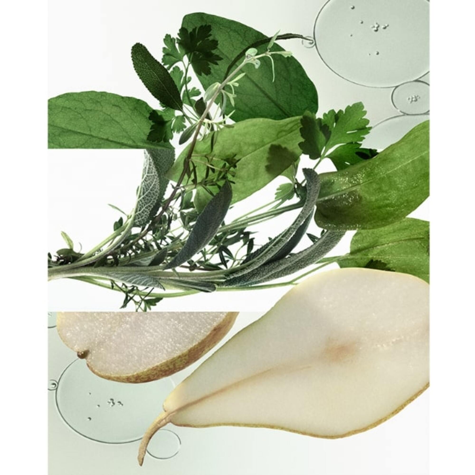 Herbes Vives Eau de Parfum