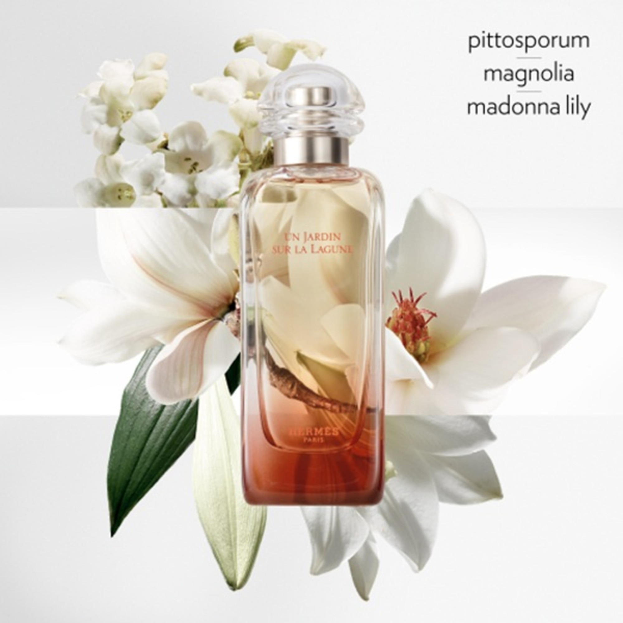 100 ML Hermès Un Jardin sur la Lagune Un Jardin sur la Lagune Eau de Toilette  1 of 5 