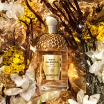 75 ML GUERLAIN Aqua Allegoria Aqua Allegoria Forte Bosca Vanilla Eau de Parfum 3 of 7 Aqua Allegoria Forte Bosca Vanilla Eau de Parfum